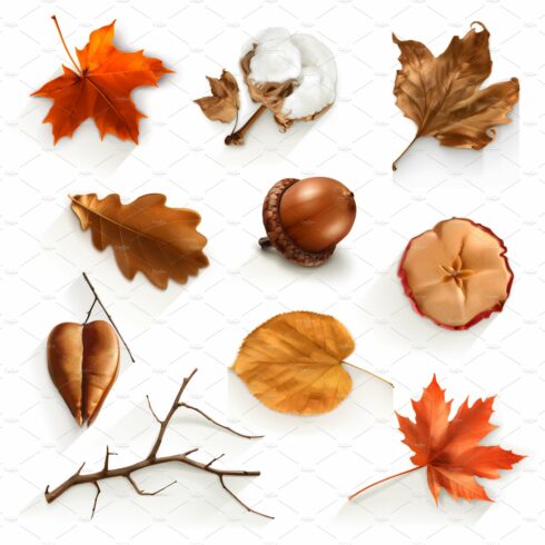 Autumn icons, vector illustration cover image.