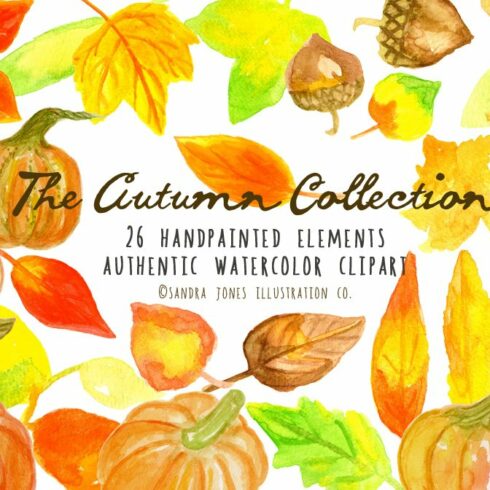 50% off! Autumn Watercolor Set cover image.