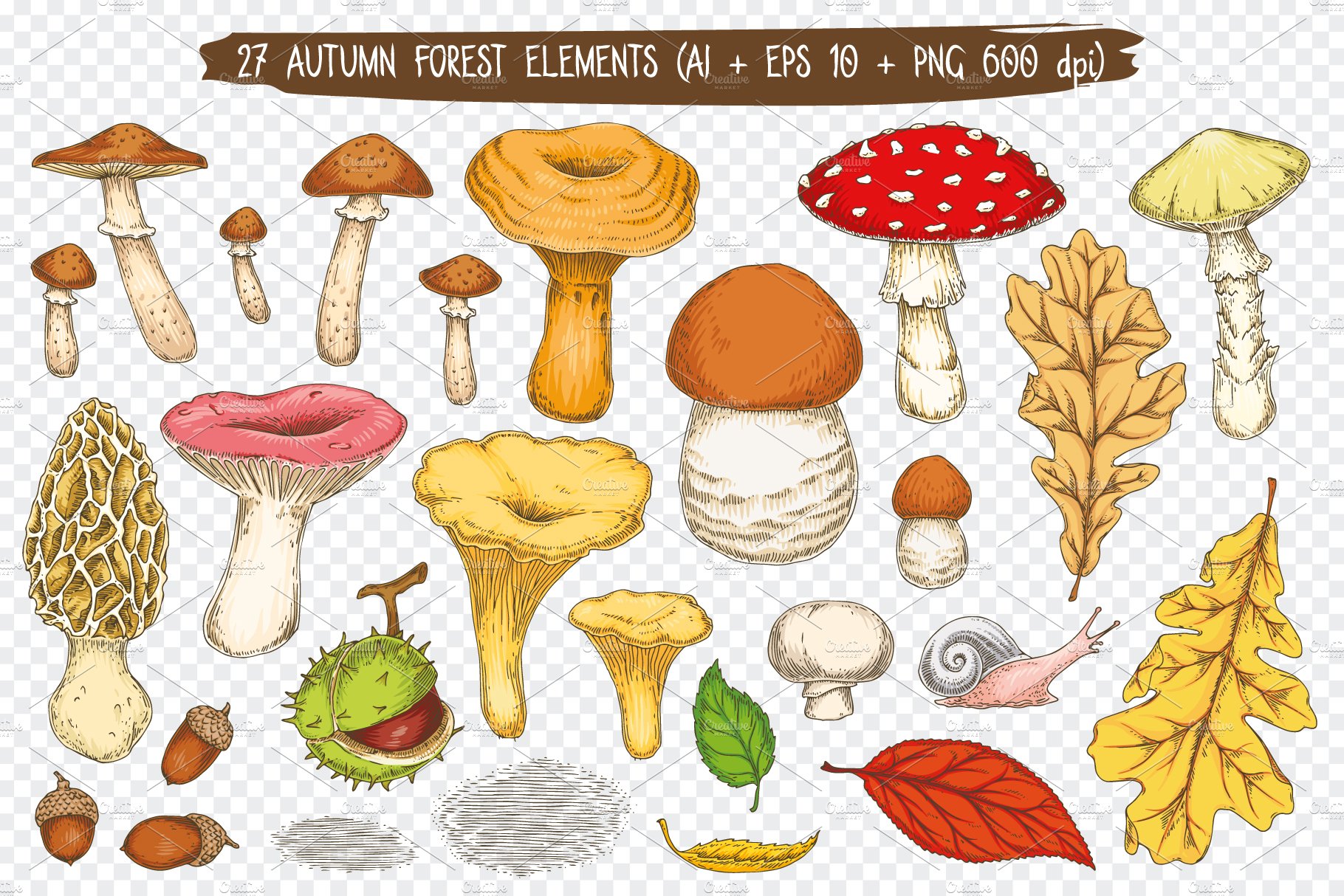 Autumn Forest Elements Collection preview image.