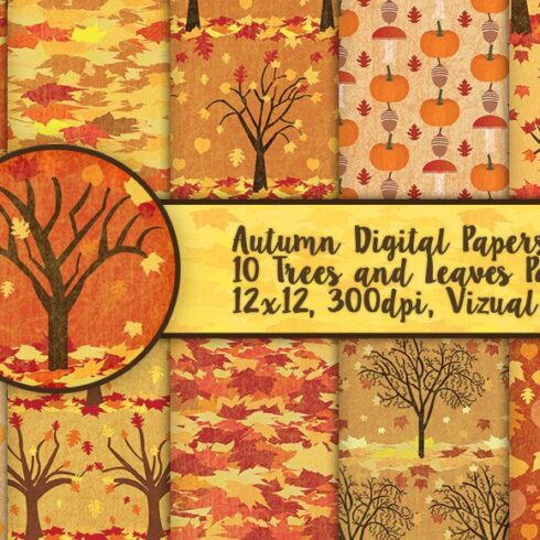 Fall Foliage Autumn Patterns cover image.