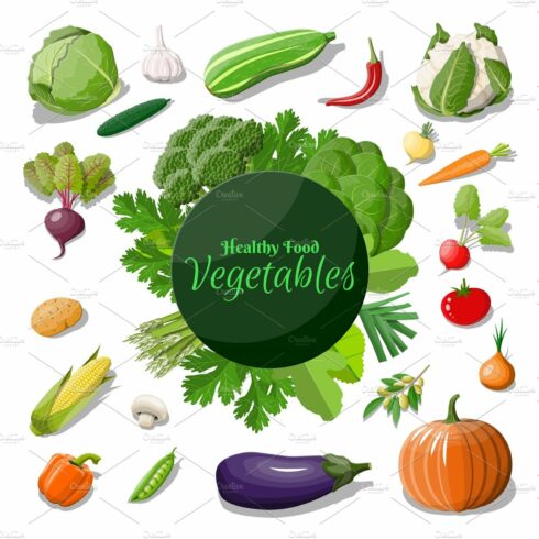 Big vegetable icon set. cover image.