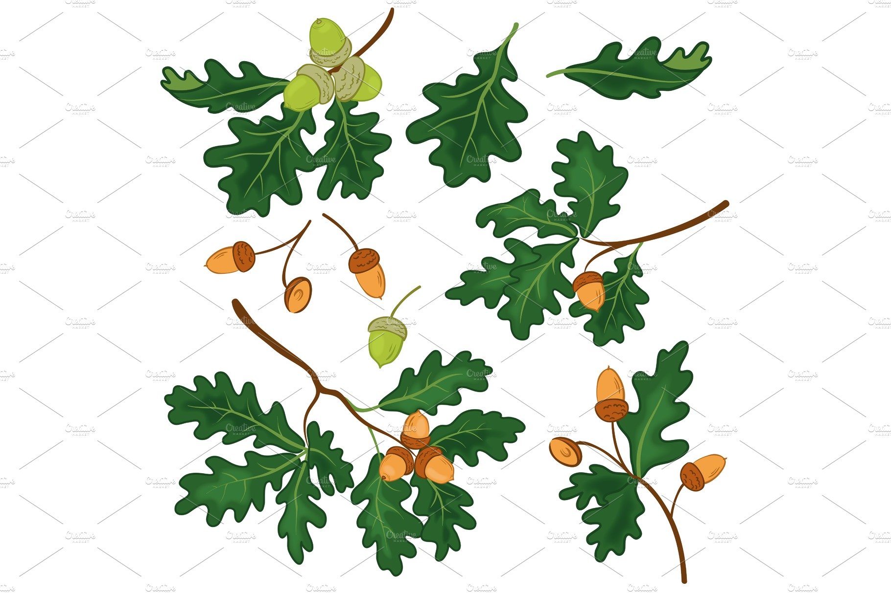 Oak branches with leaves and acorns cover image.