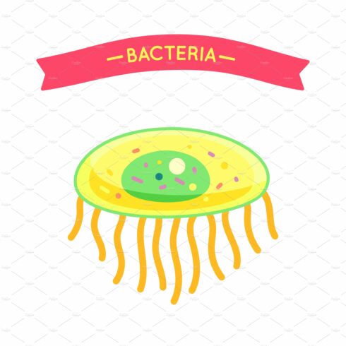 Bacteria Poster with Cell Vector cover image.