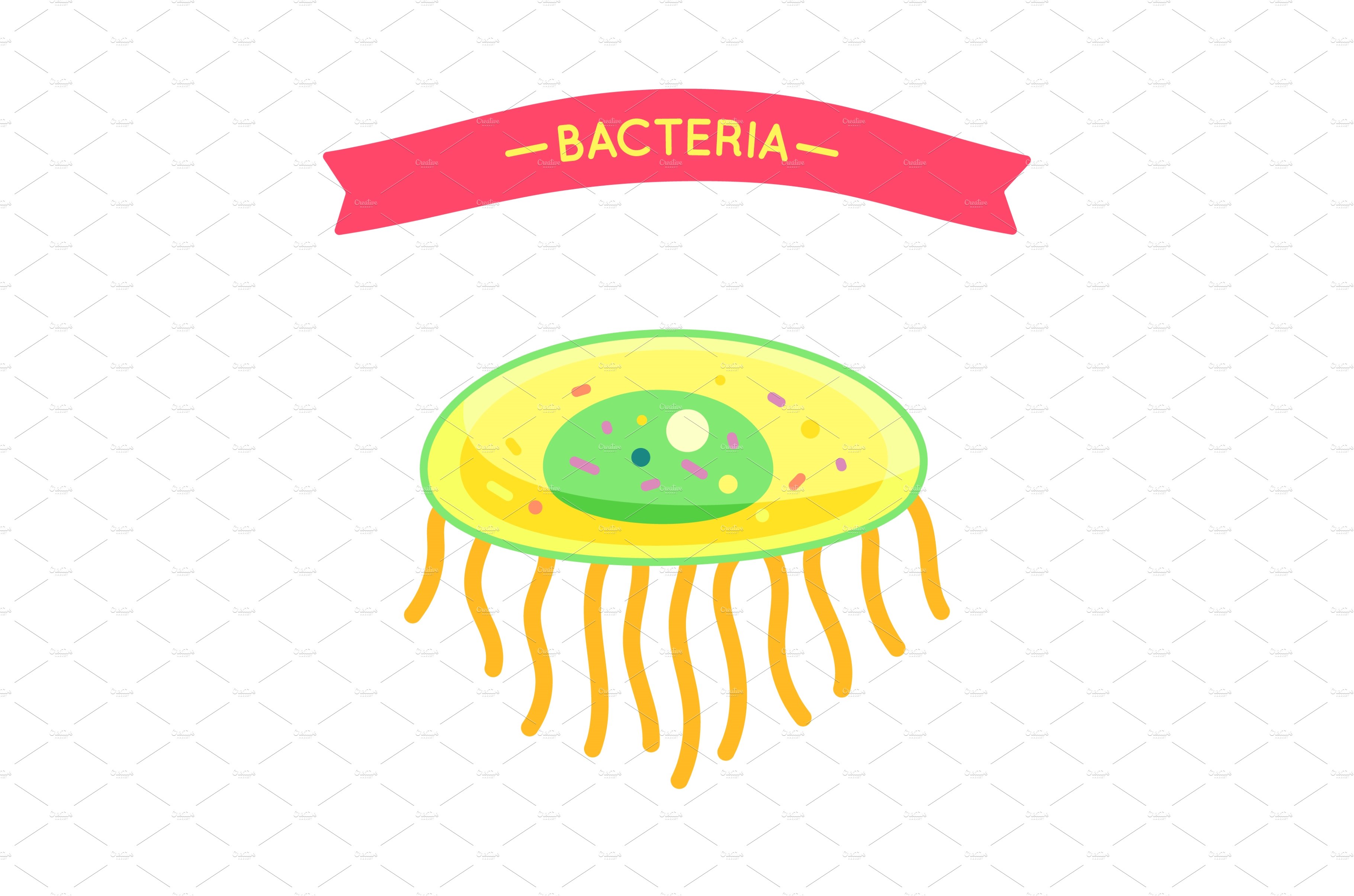 Bacteria Poster with Cell Vector cover image.