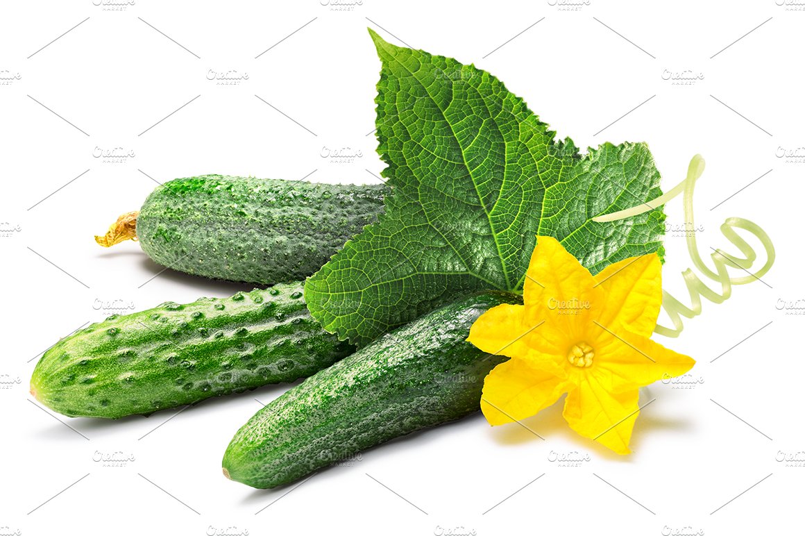 Cucumbers cover image.