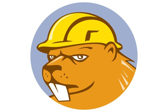 Beaver Construction Worker Circle Ca cover image.