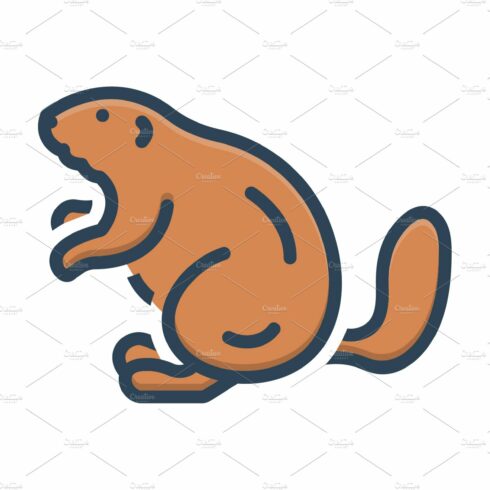 Beaver otter color icon cover image.