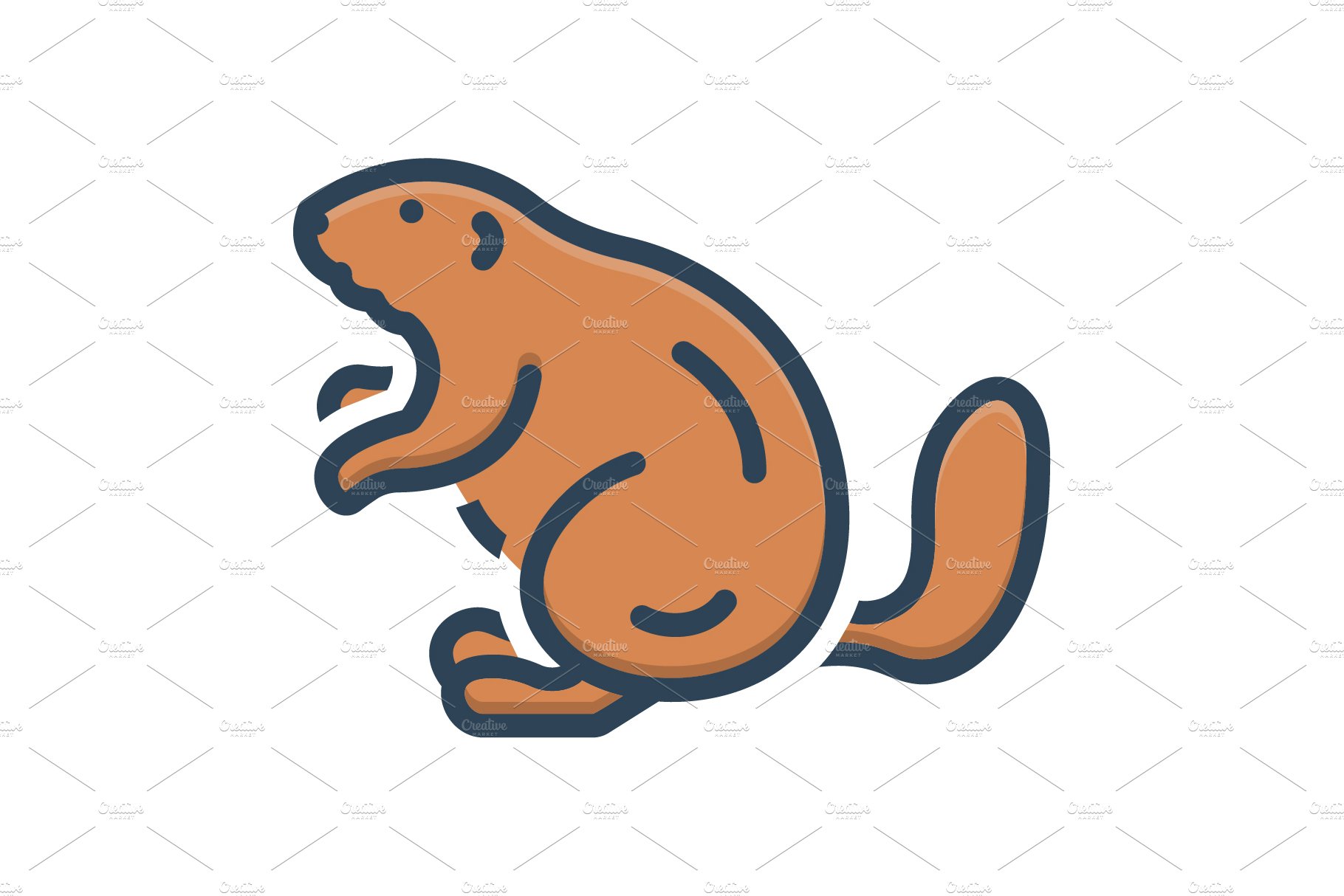 Beaver otter color icon cover image.