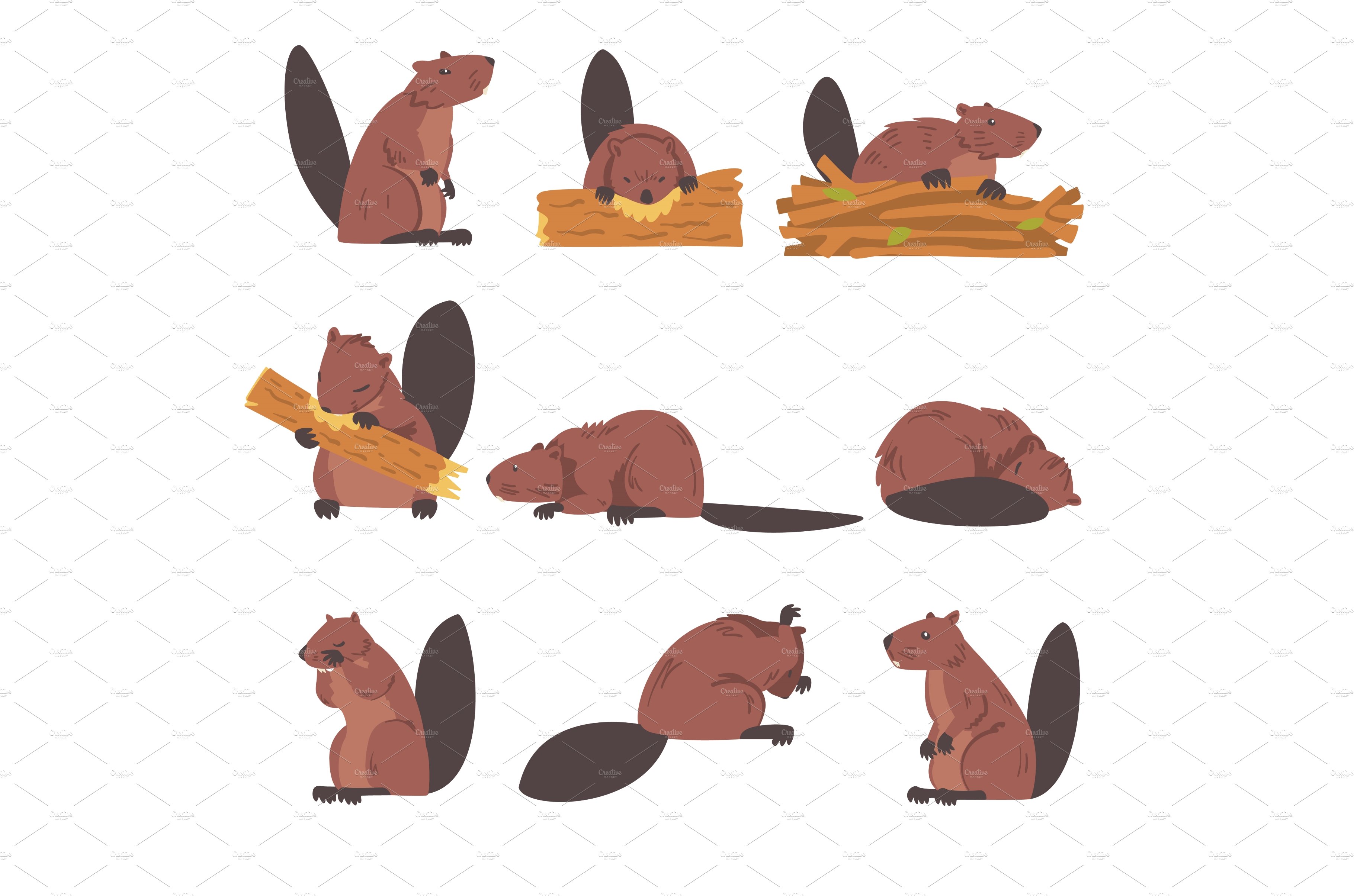 Cute Brown Beavers Set, Wild Rodent cover image.