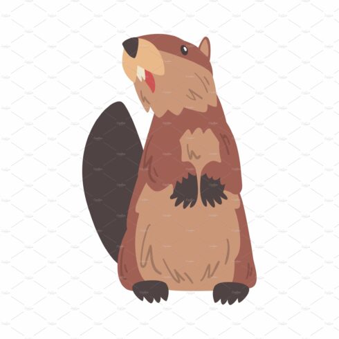 Cute Funny Brown Beaver Standing on cover image.