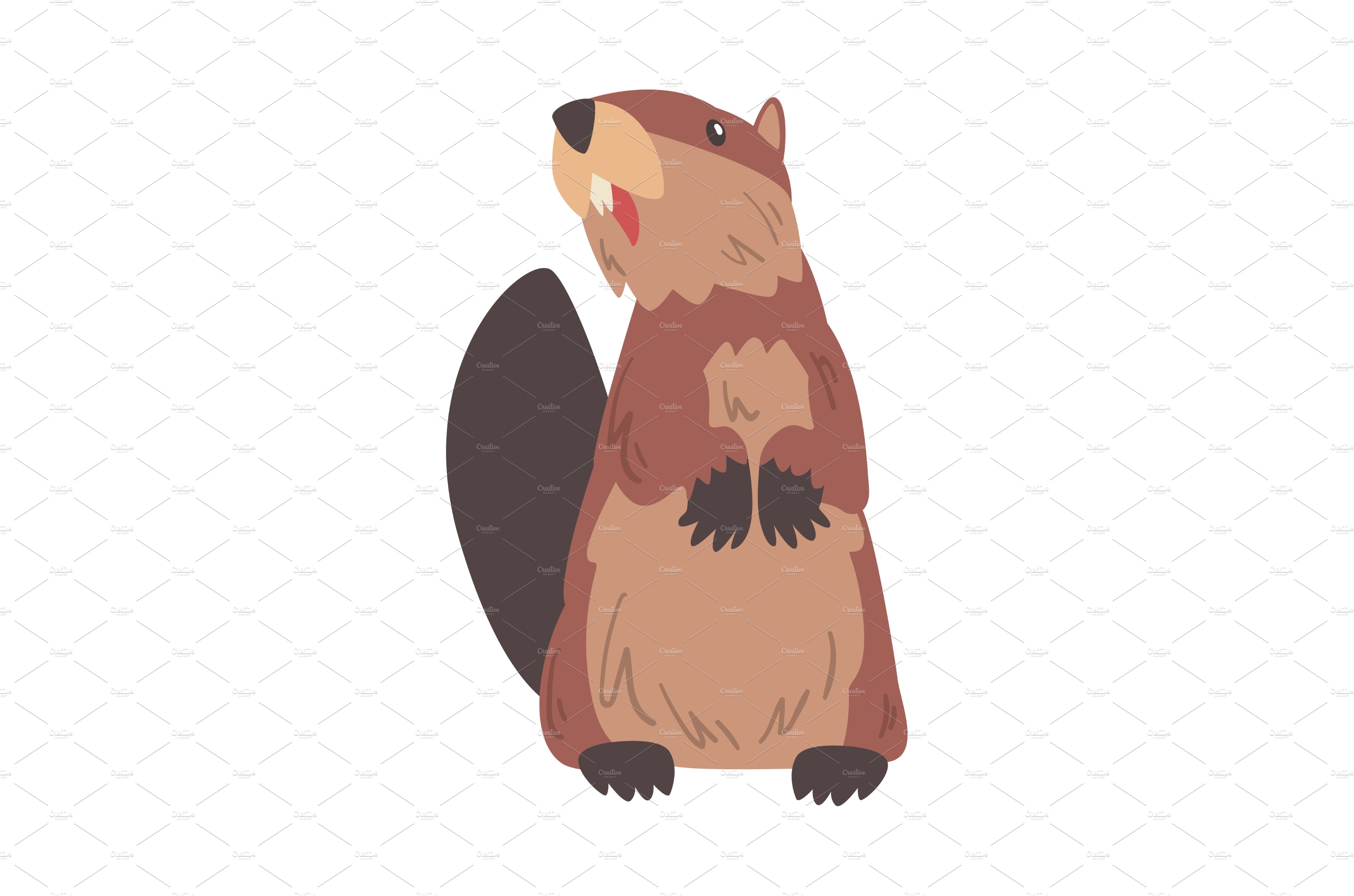 Cute Funny Brown Beaver Standing on cover image.