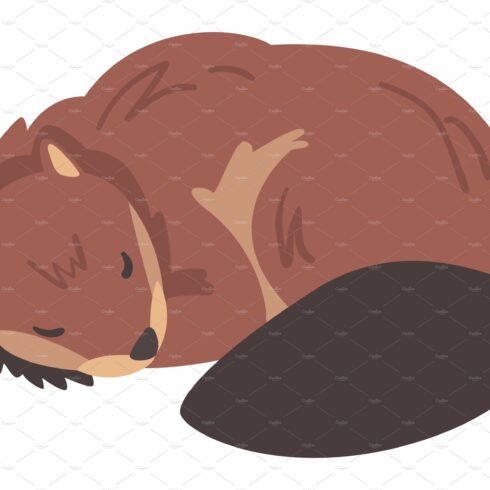 Cute Brown Sleeping Beaver, Wild cover image.