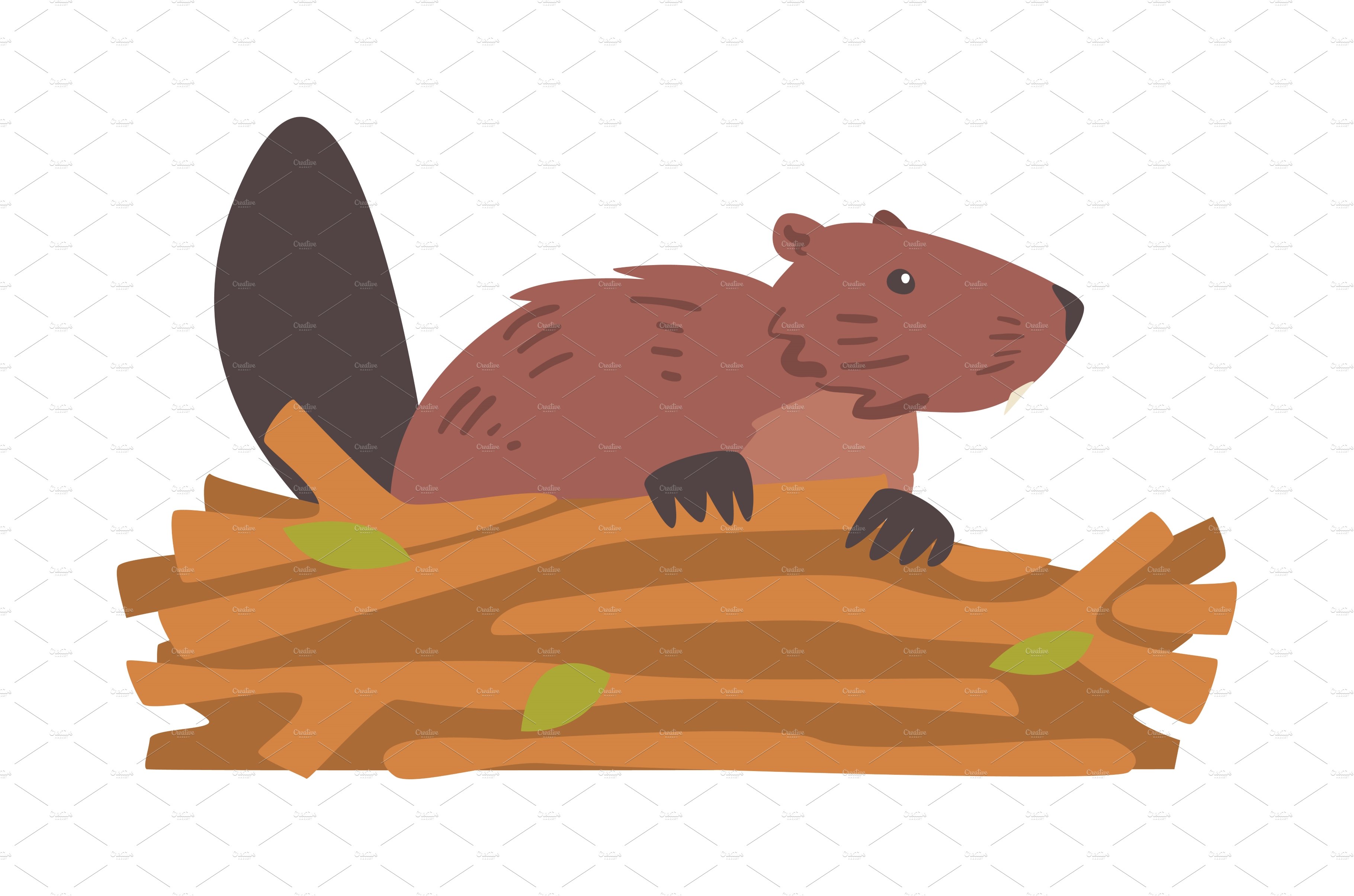 Beaver Gnawing Log, Brown Rodent cover image.