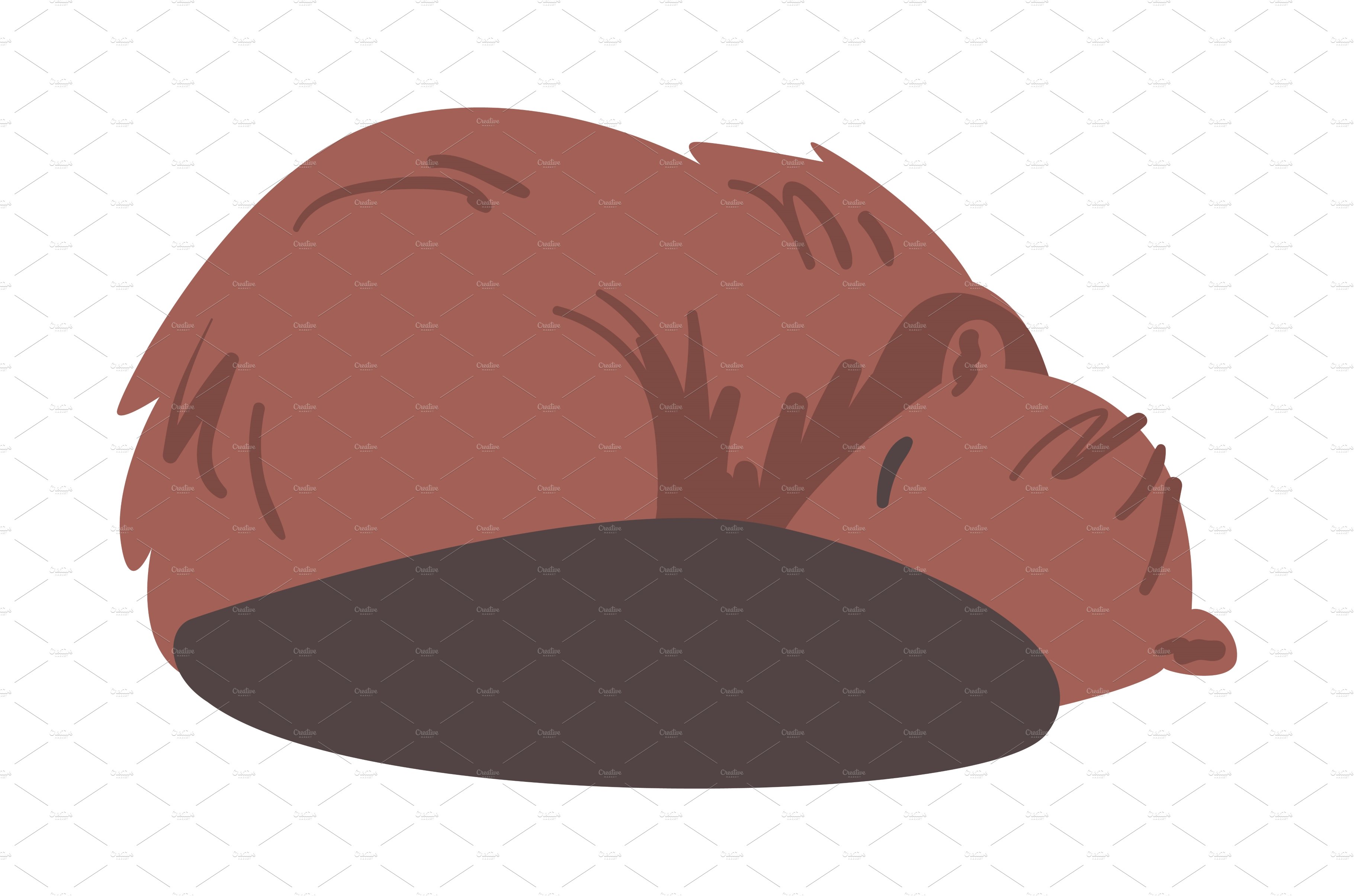 Sleeping Beaver, Brown Wild Rodent cover image.