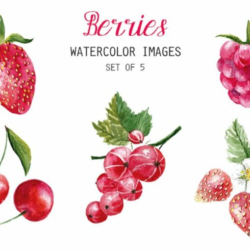 Watercolor Berries Clipart cover image.