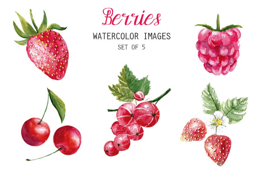 Watercolor Berries Clipart cover image.