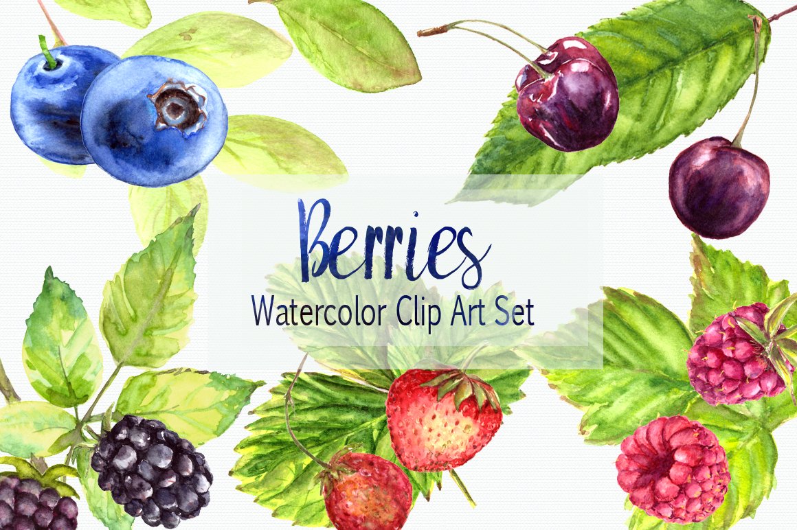 Watercolor Berries Clip Art Set cover image.