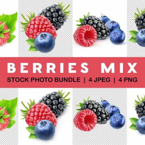 Blueberry, raspberry and blackberry cover image.
