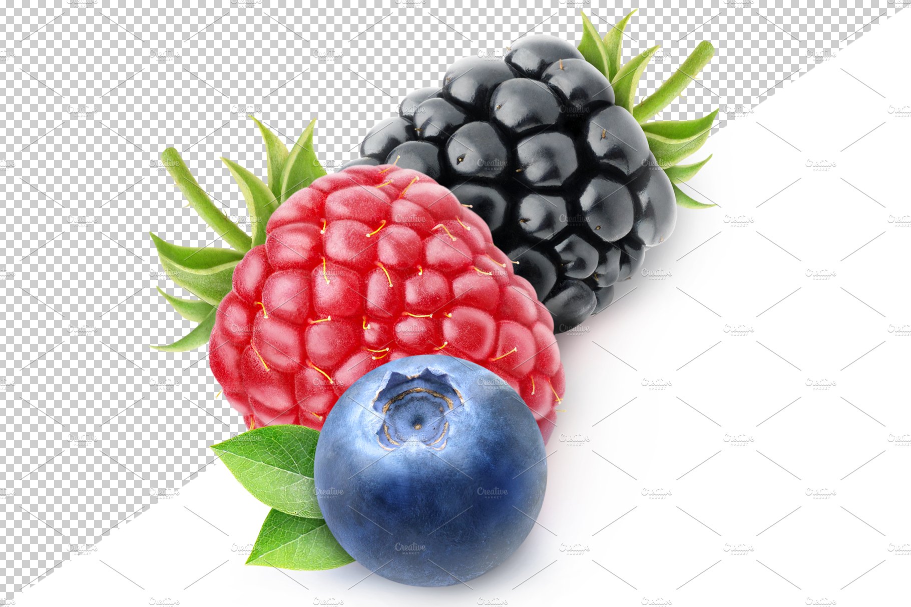 berries02b 328