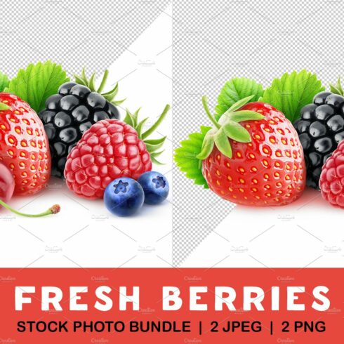 Fresh berries cover image.