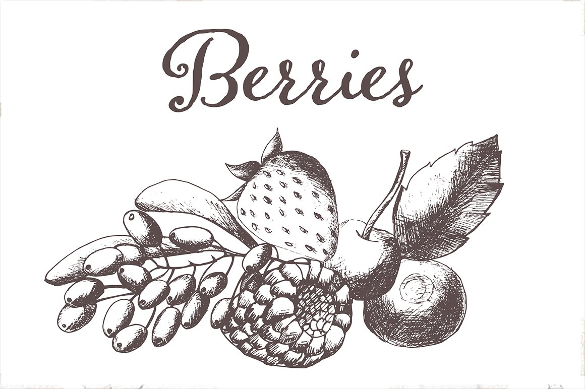 Hand drawn vectorized berries cover image.