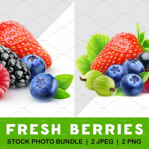 Isolated berries cover image.