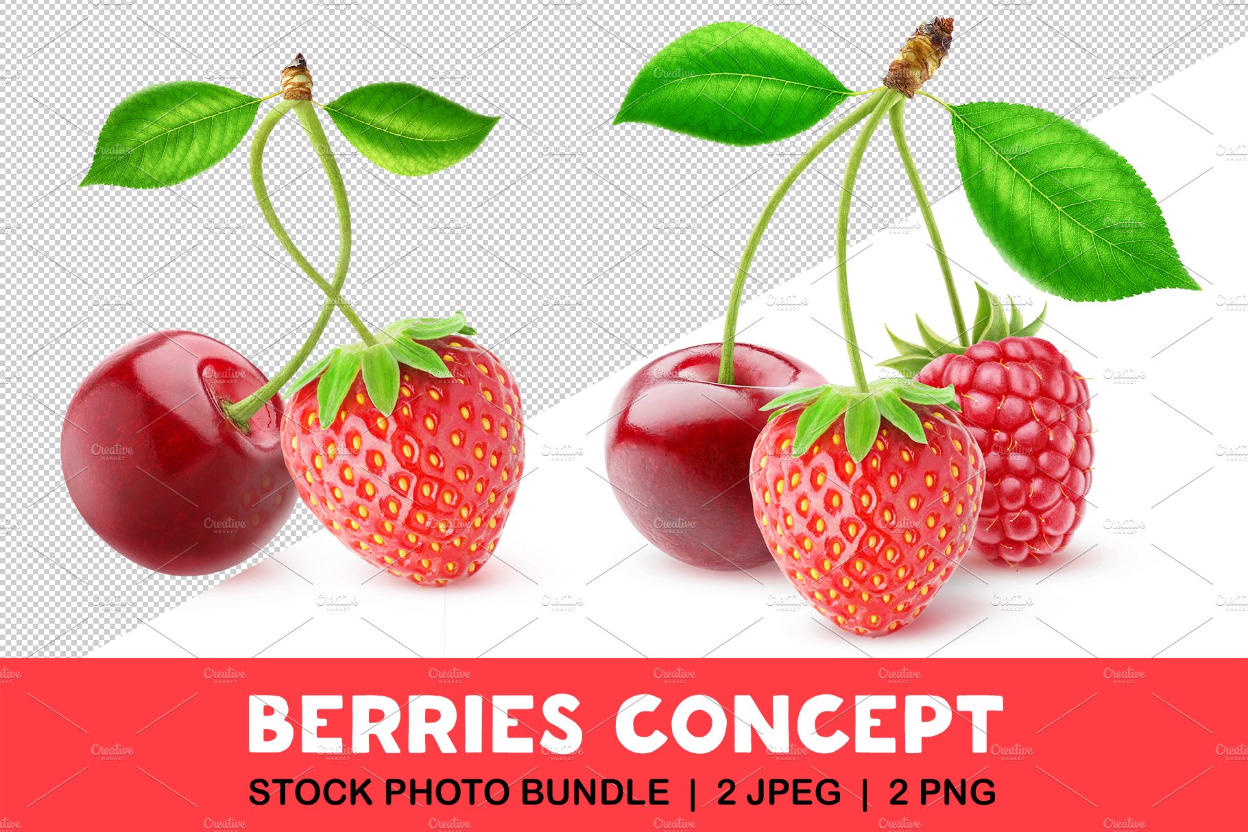 Different berries on one stem cover image.