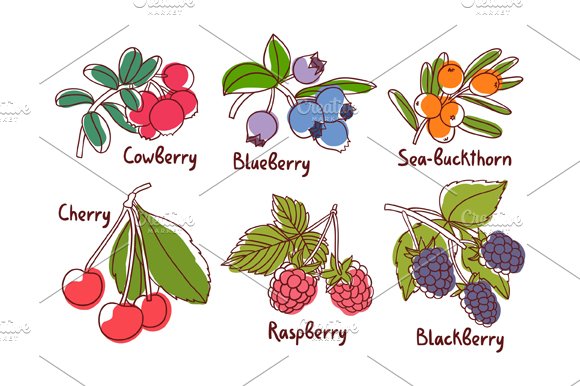 Berries cover image.