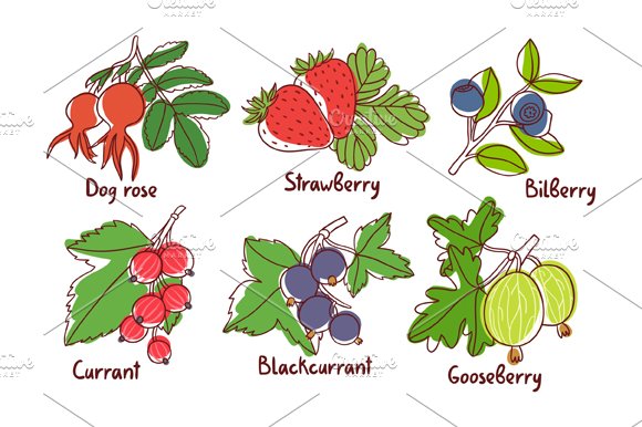 Berries preview image.