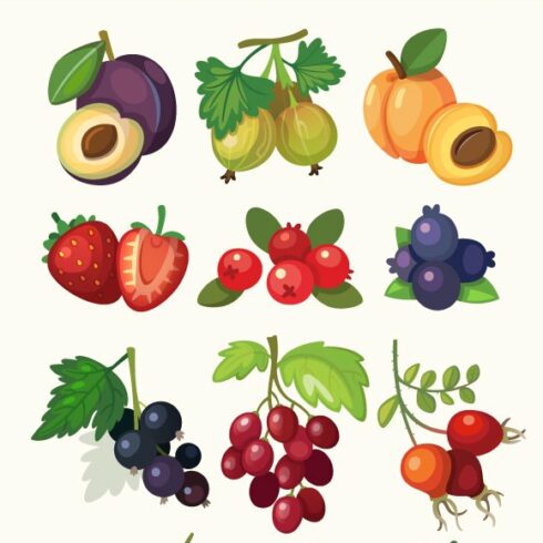 19 Vector Berries cover image.