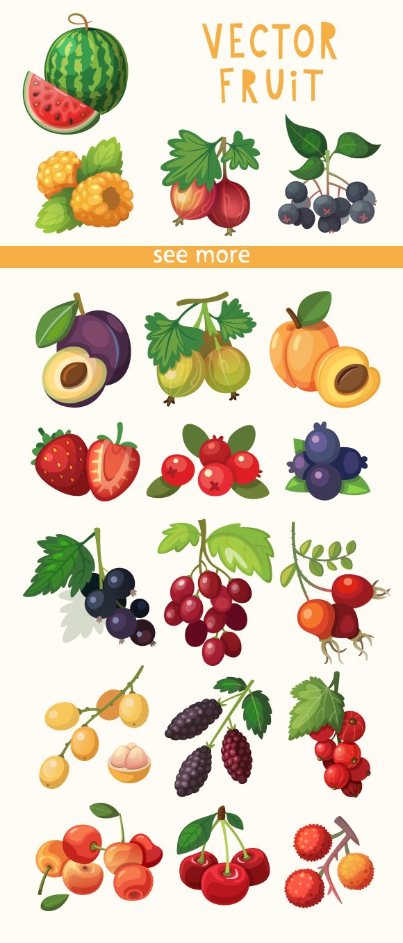 19 Vector Berries cover image.