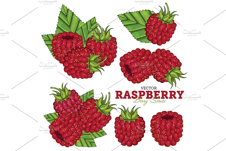 Raspberry Set, Vector. cover image.