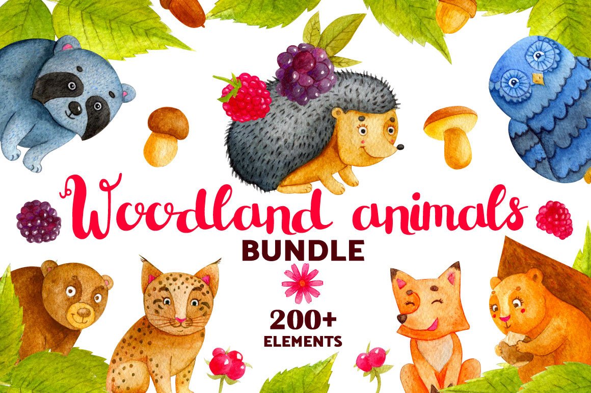 Woodland Animals. Watercolor Bundle cover image.