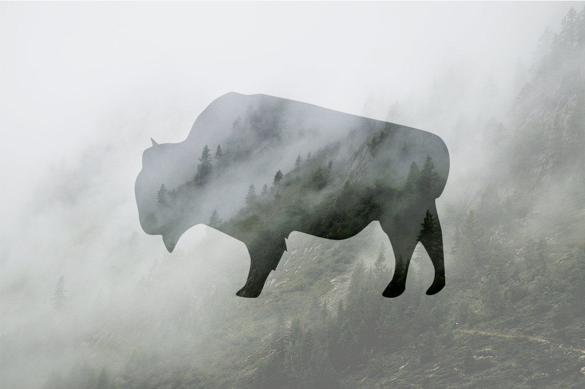 bison 951