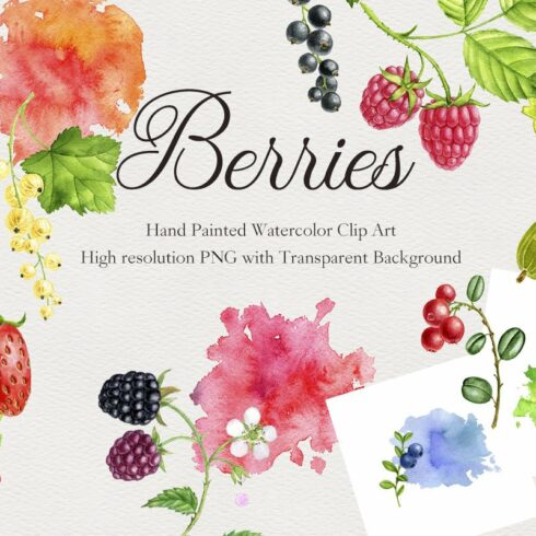 Berries cover image.
