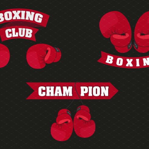 set of emblems boxing cover image.