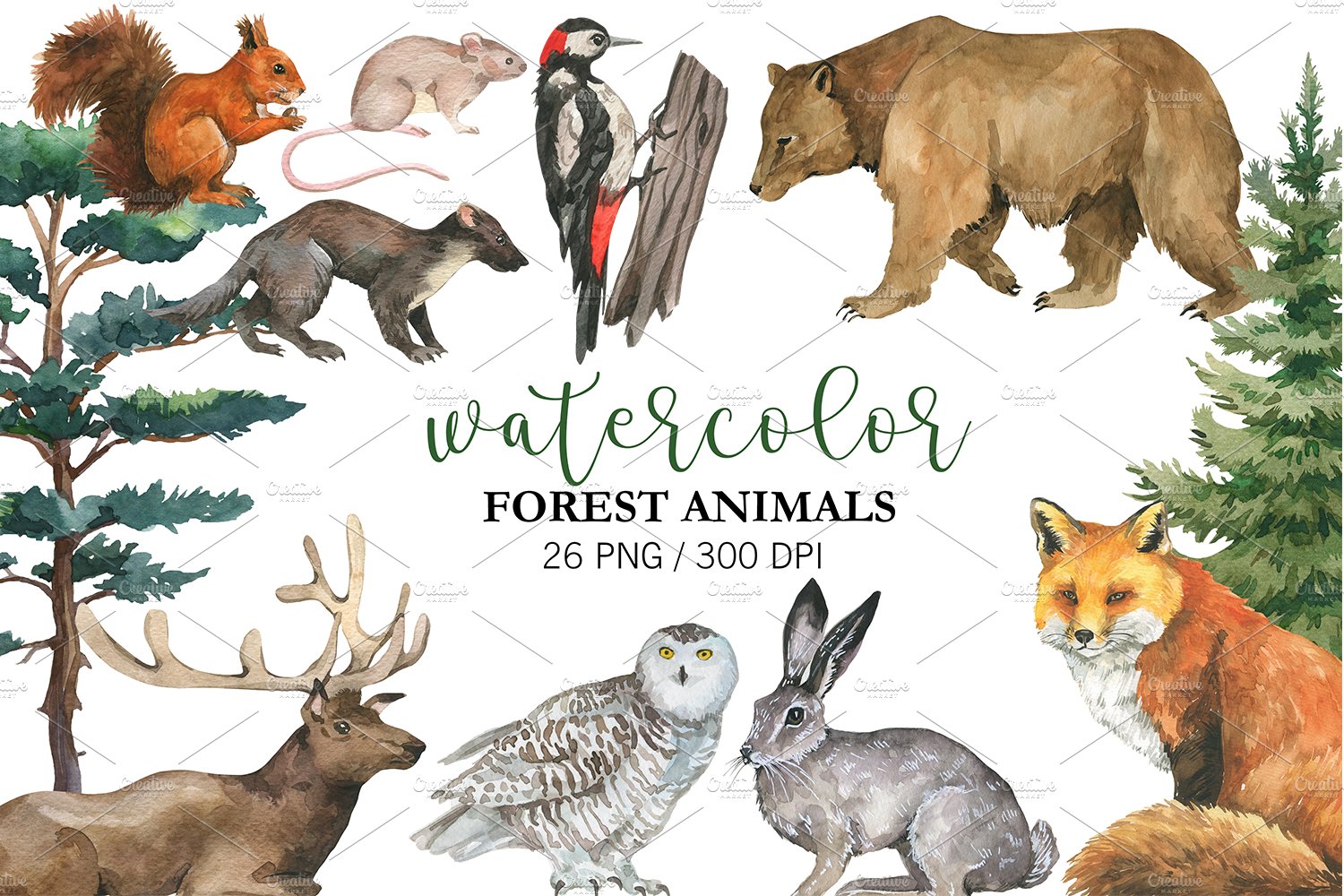 Watercolor Forest Animal Clipart PNG cover image.
