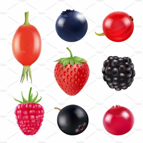 Set of berries. Realistic pictures cover image.