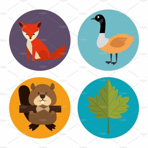 canadian culture group of animals cover image.