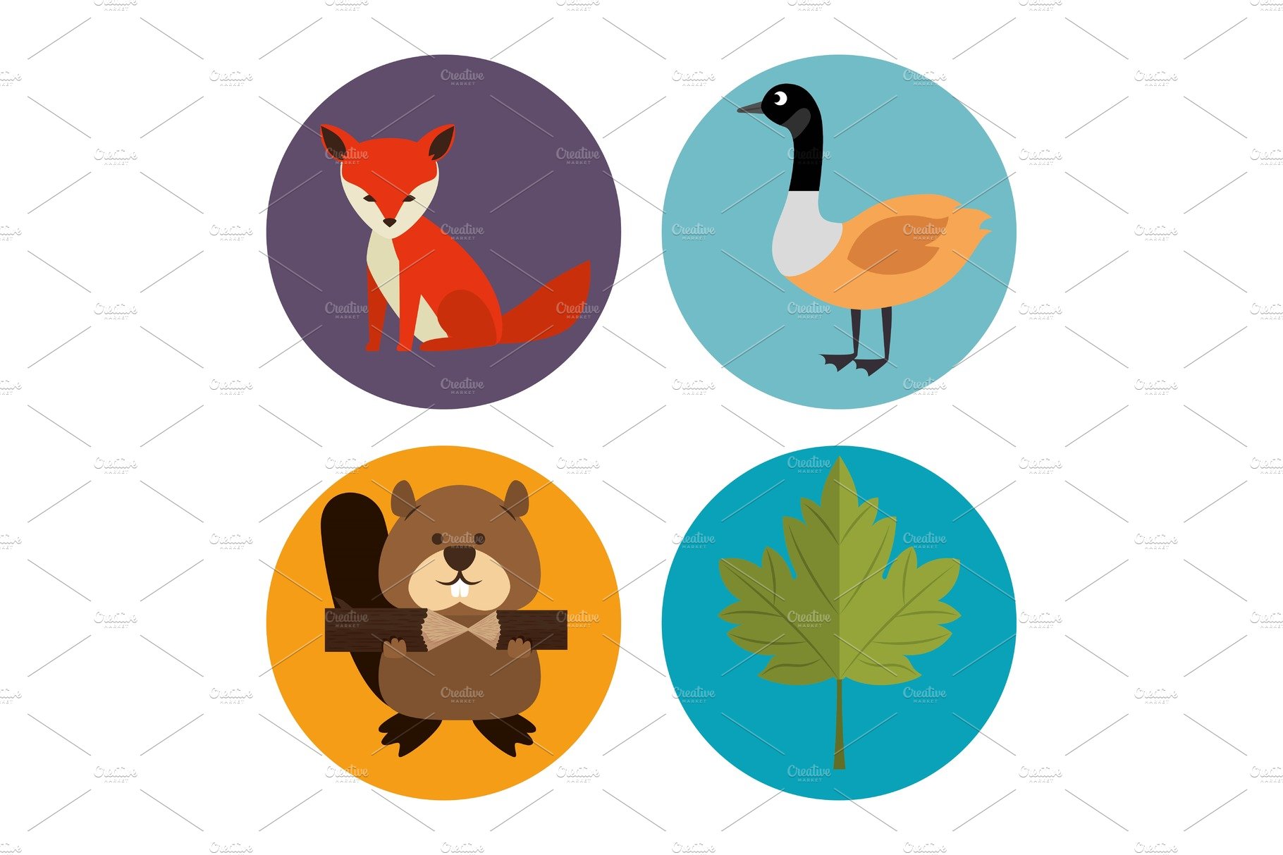 canadian culture group of animals cover image.