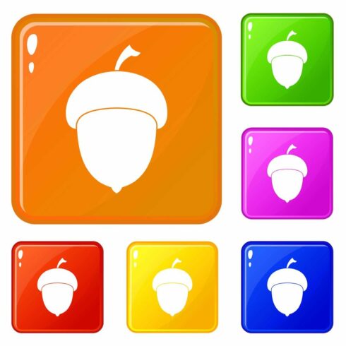 Acorn icons set vector color cover image.