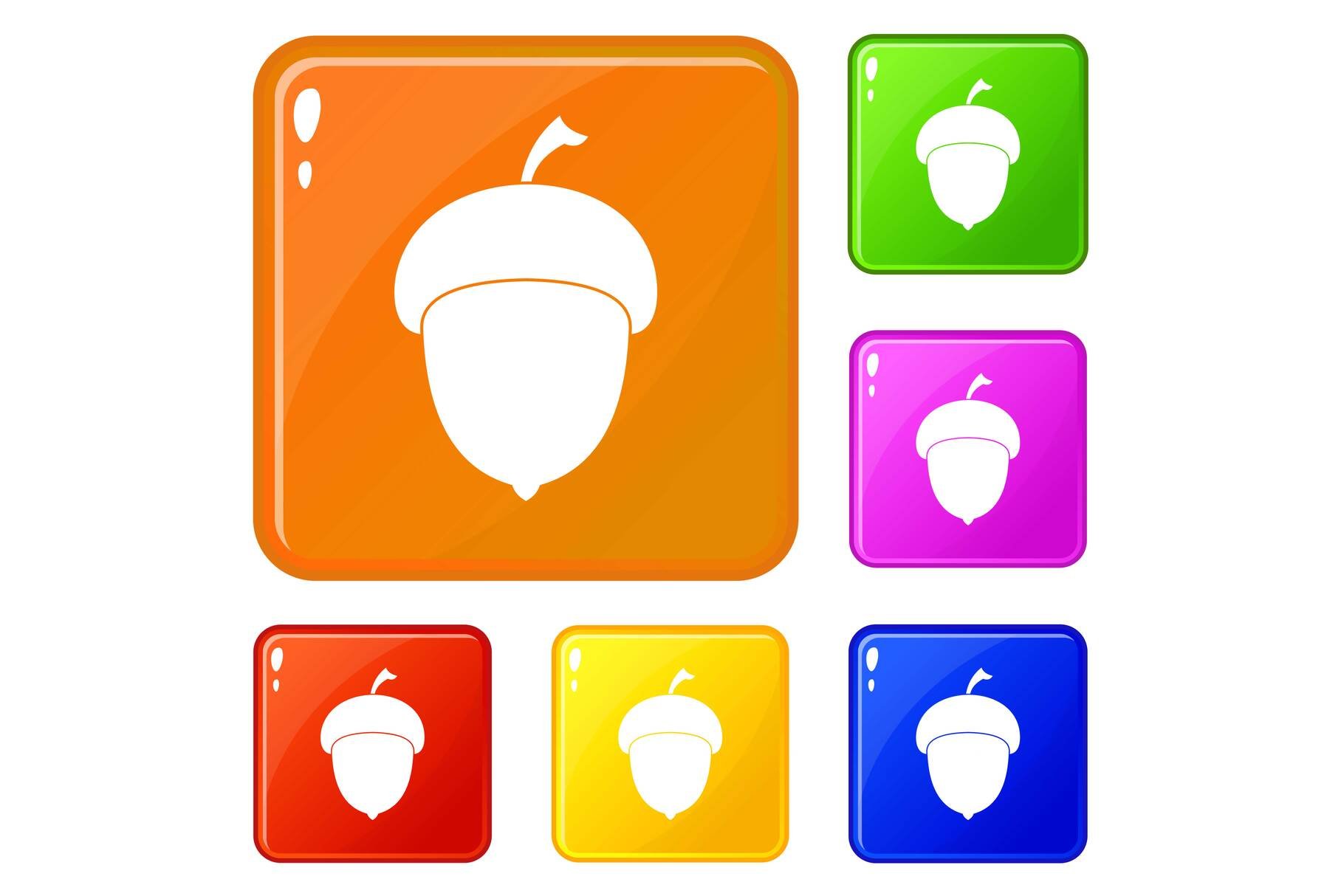 Acorn icons set vector color cover image.