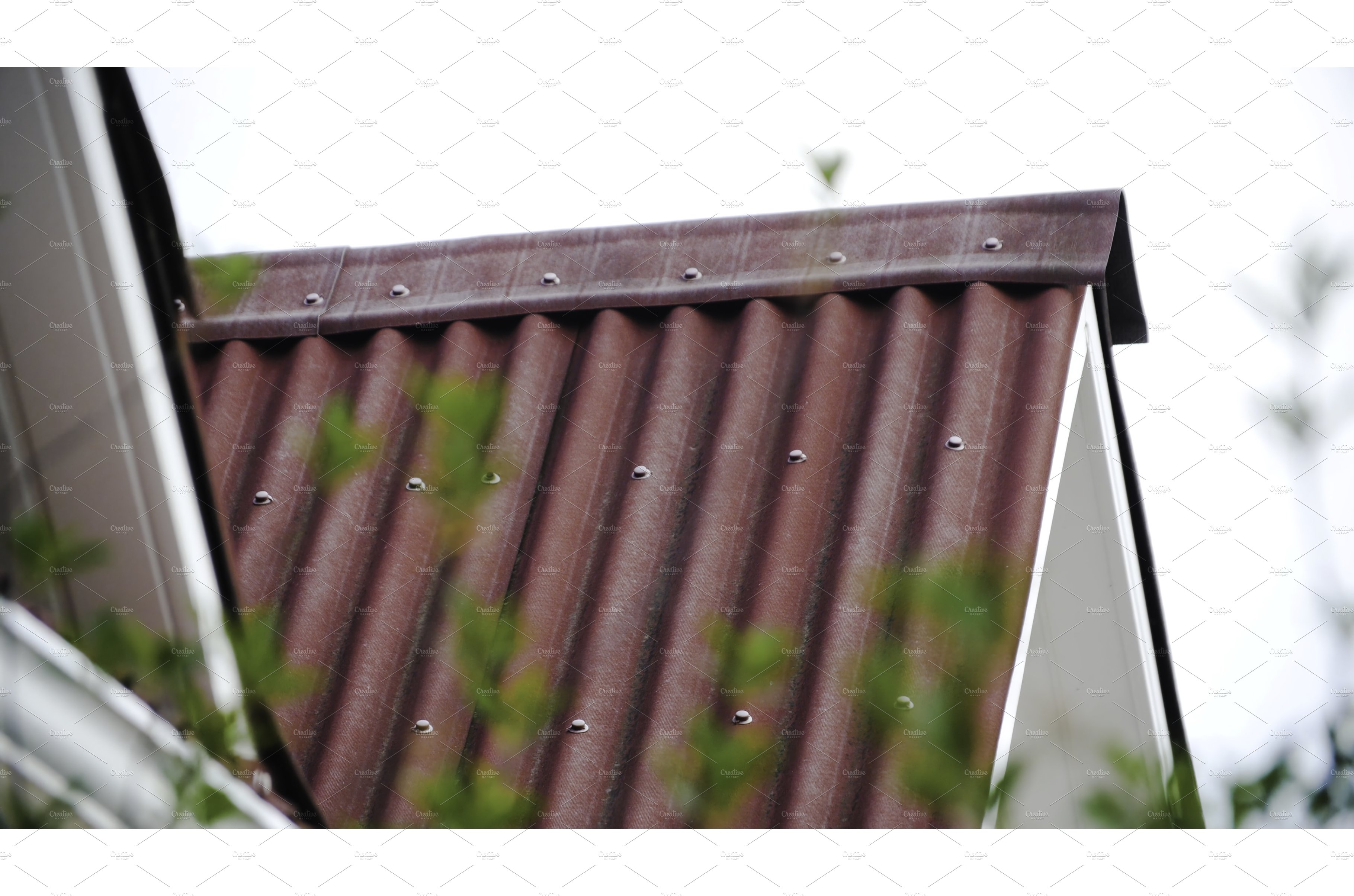 Corrugated roofing roof. Stock cover image.