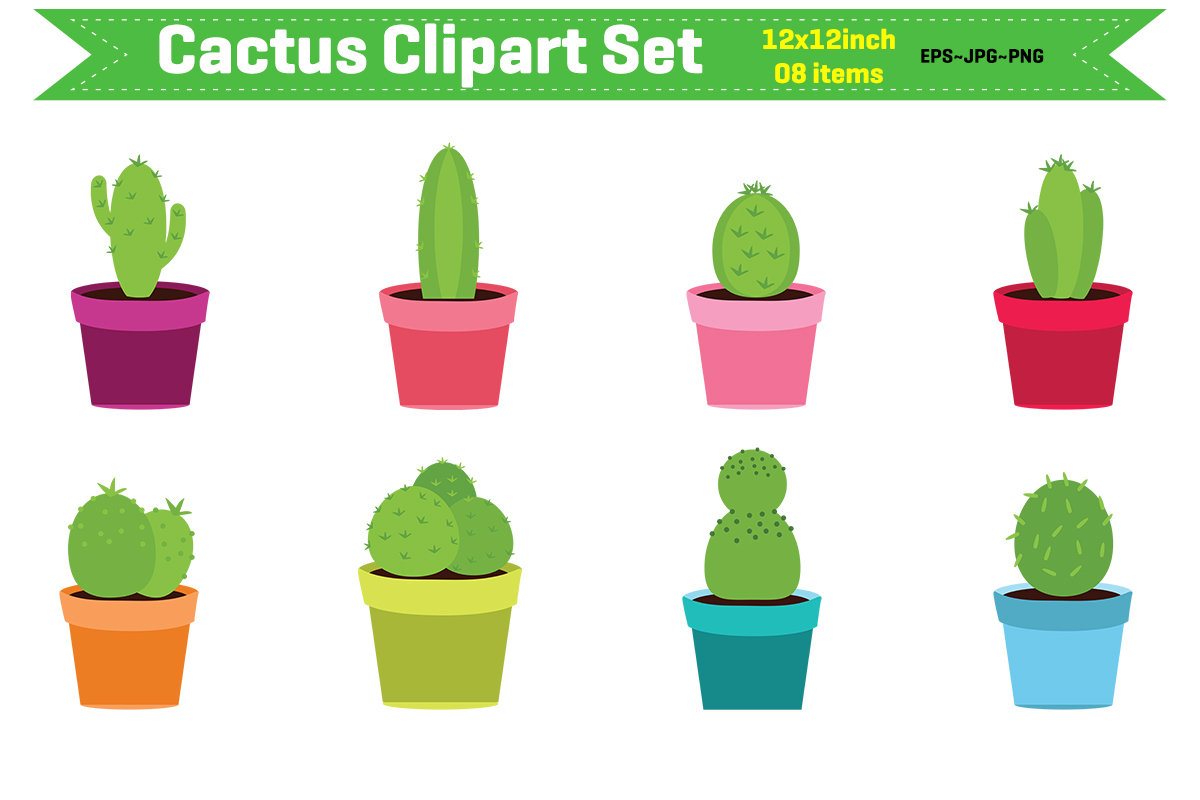 cactus1 205