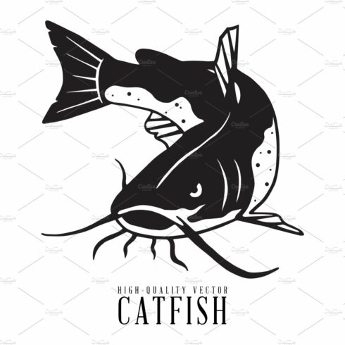 Catfish cover image.