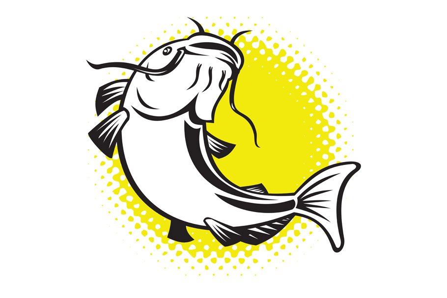 Catfish jumping up with halftone dot cover image.