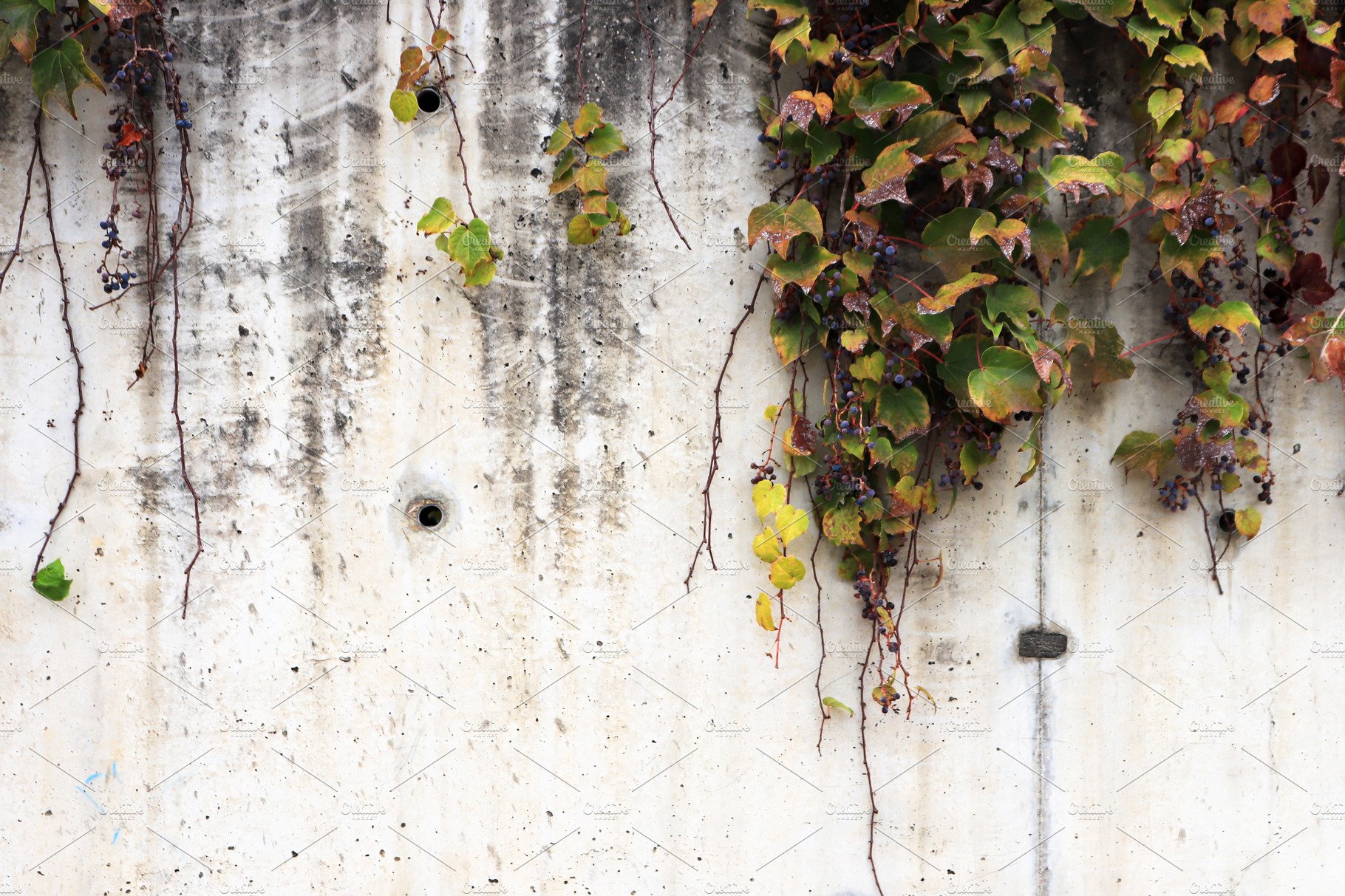 White concrete wall texture cover image.