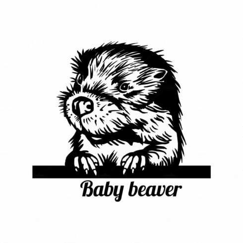 Peeking Baby Beaver - Funny Beaver cover image.