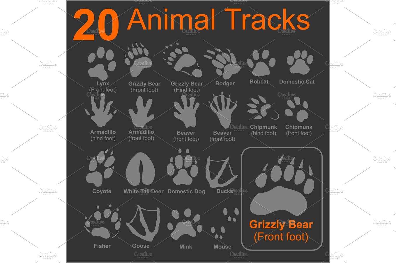 Animals Tracks - vector set cover image.