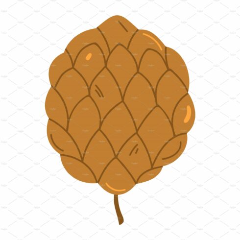 Acorn or pine tree cone vector cover image.